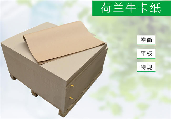 002荷蘭?？?jpg